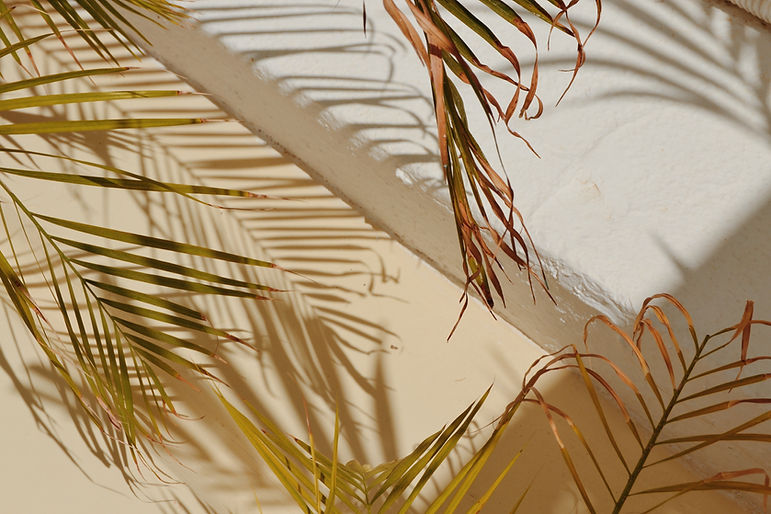 Image by Federica Giusti