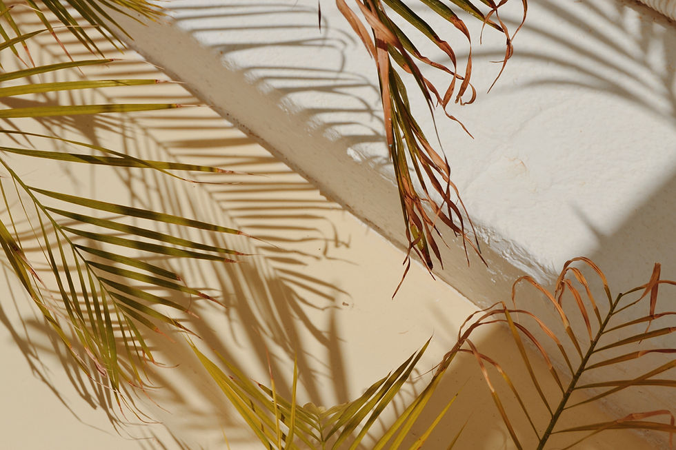 Image by Federica Giusti
