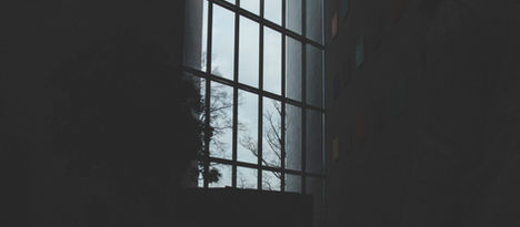 The Unnecessary Lockdown - Archive of Links