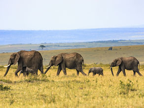 Top 5 African Destinations That Will Leave You Speechless and In Love