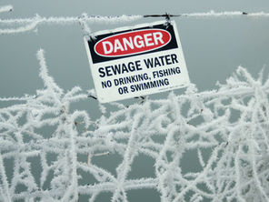 From Streets to Streams: The Journey of Trash and Its Impact on Aquatic Ecosystems