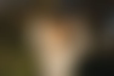 Citi Double Cash Card—Get Rewarded for Purchases and Payments!