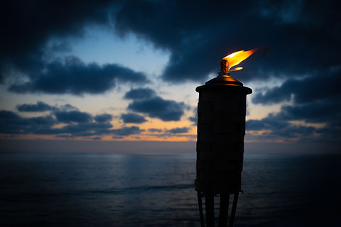 Image by Kevin Finneran