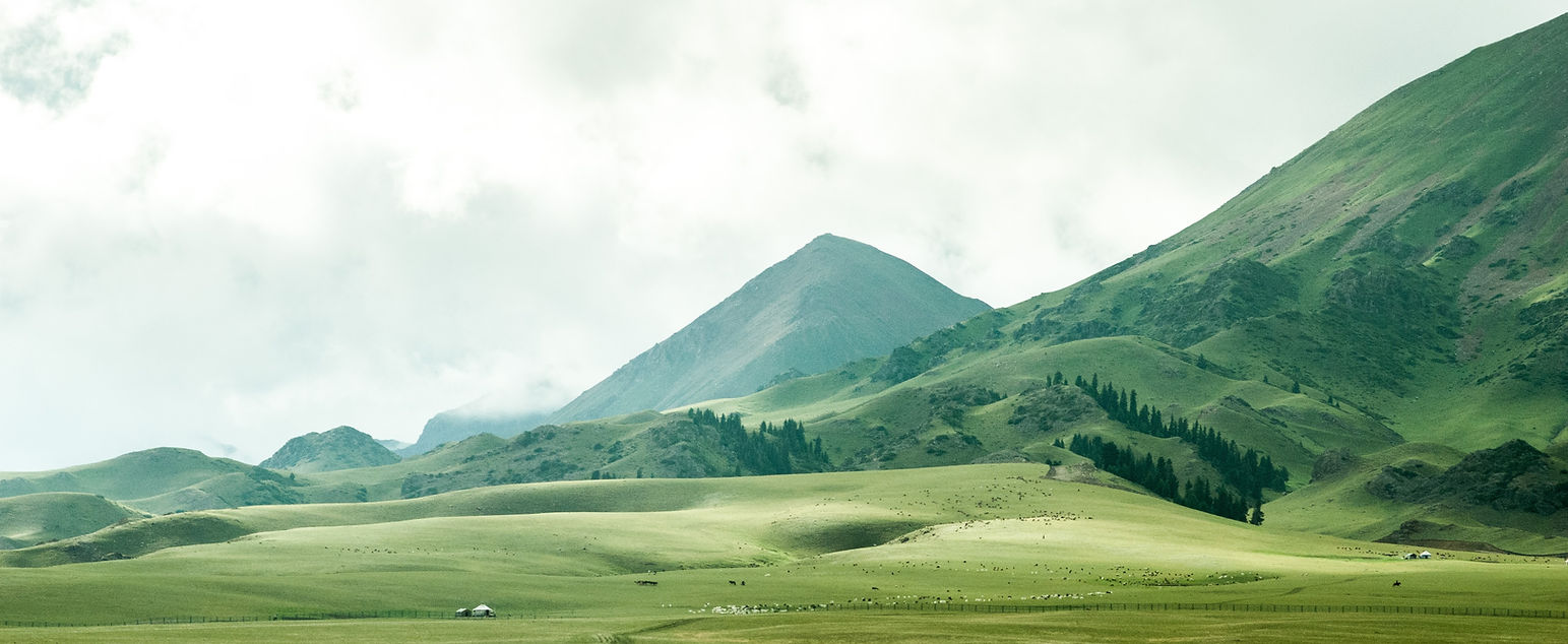 Image by Jeremy Cai