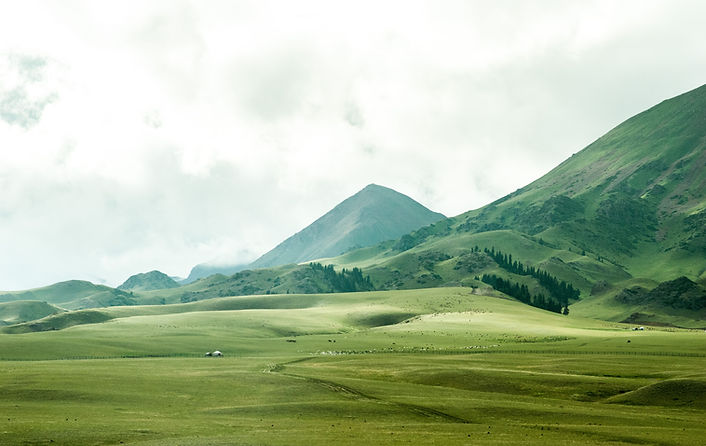 Image by Jeremy Cai