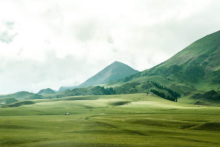 Image by Jeremy Cai