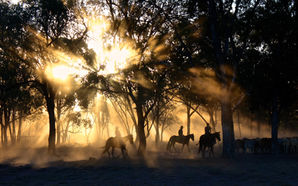 5 Reasons to Love Historical Western Romance