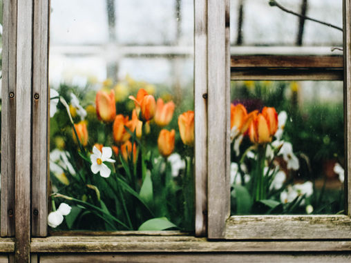 SHARING SECRETS: A Room With A View
