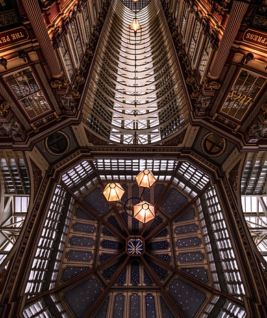 Image by Lachlan Gowen