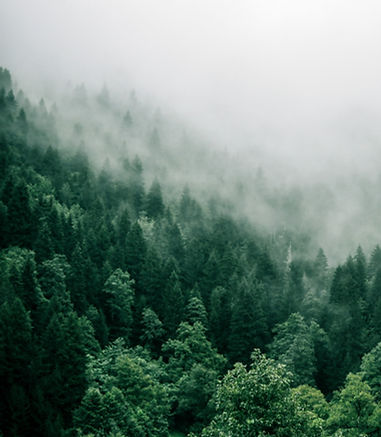 Image by Marita Kavelashvili