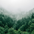 Image by Marita Kavelashvili