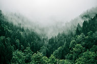 Image by Marita Kavelashvili