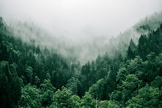Image by Marita Kavelashvili