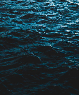 Image by Alex Dukhanov