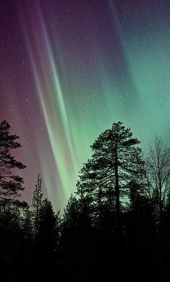 Image by Vincent Guth