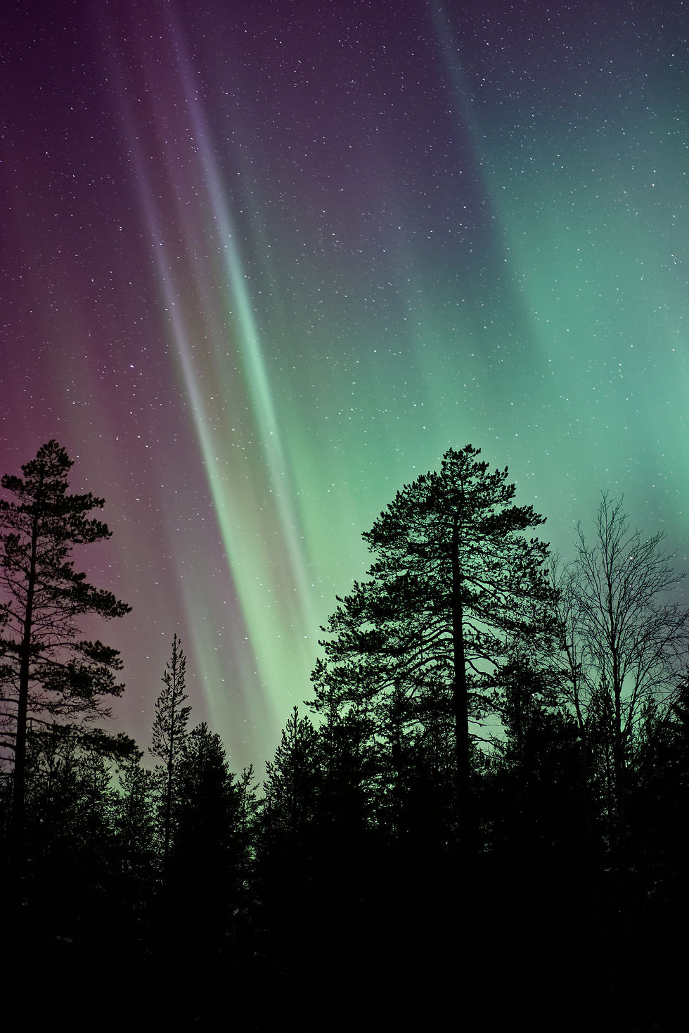 Image by Vincent Guth