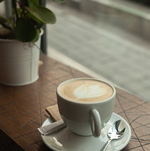 Image by Amirhossein Soltani