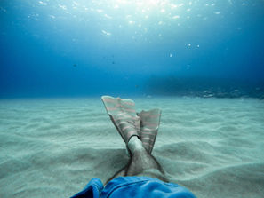 sitting on the bottom of the sea with fins on my feet