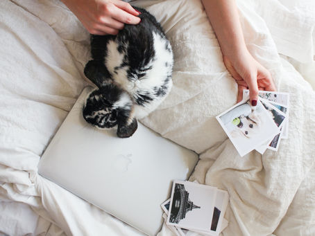 ANIMAUX, ÂMES ET NDE