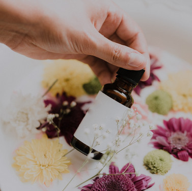 Image by Priscilla Du Preez