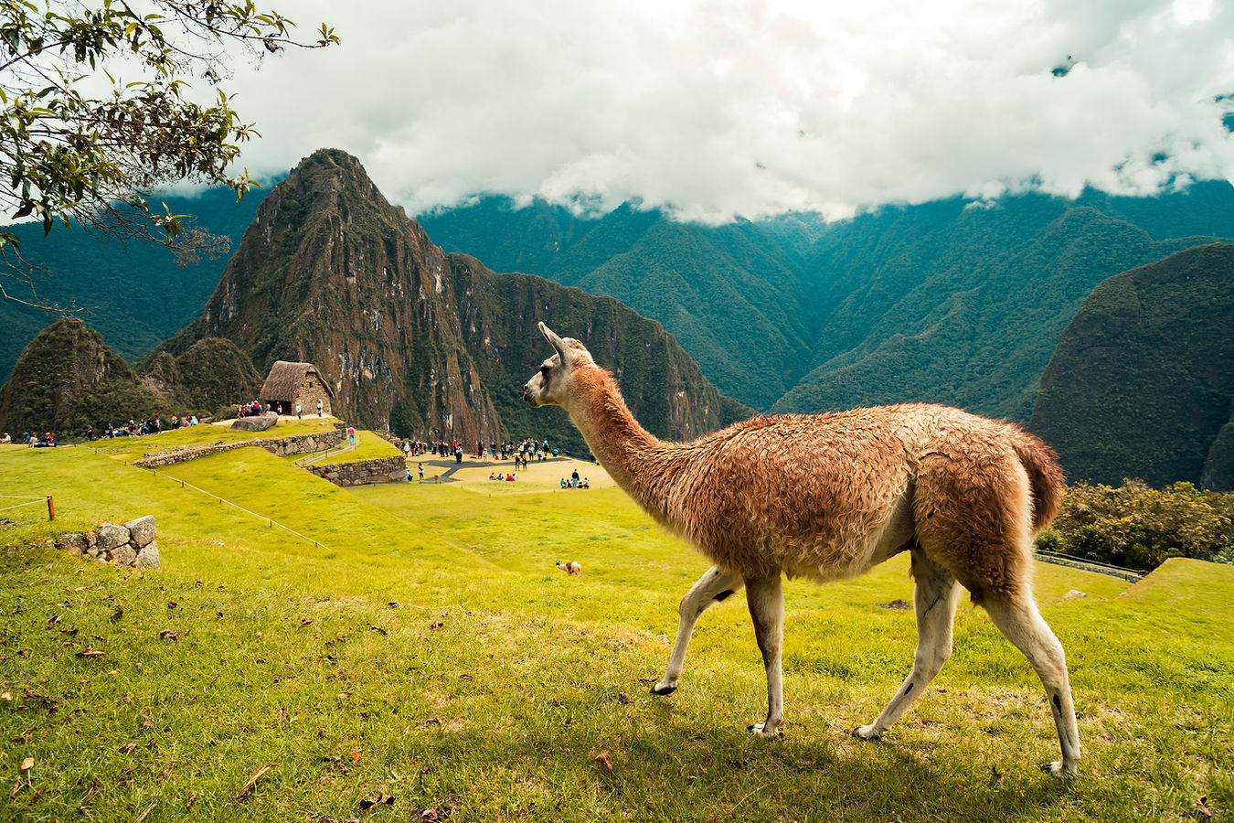 Image by Willian Justen de Vasconcellos