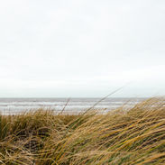 Image by Alex Talmon