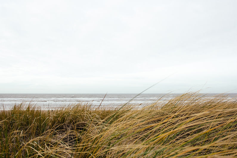 Image by Alex Talmon