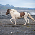Image by robin arm