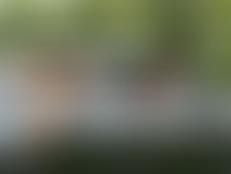 Family having fun in car