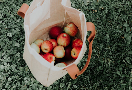 Image by Priscilla Du Preez