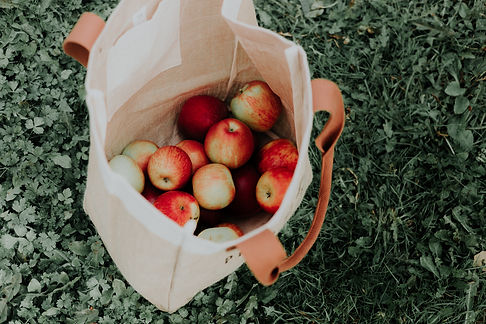 Image by Priscilla Du Preez