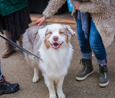 Image by Jérémy Stenuit