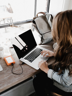 Little Bird Digital Marketing's experience