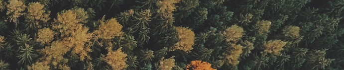 Image by Jakub Sejkora