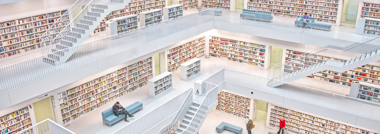 Image by Amelie & Niklas Ohlrogge