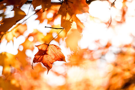 Image by Matt