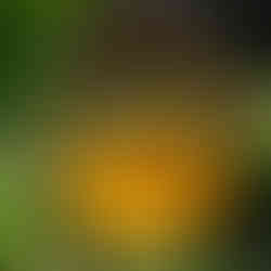 Aménager un endroit de repos avec un fauteuil de jardin