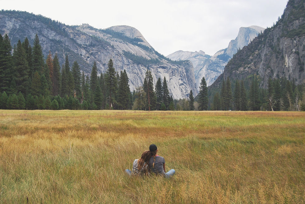 Image by Anneliese Phillips
