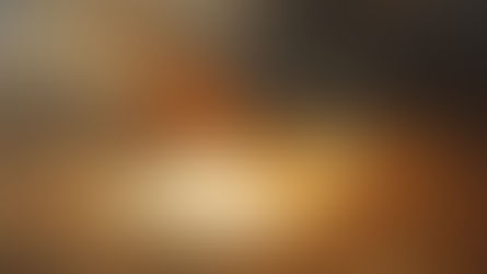 8月11日 約伯記8章「人是因為作惡才受苦的嗎？」