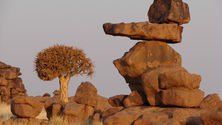 Balancing Rocks representing A Balanced Approach to Managing High-Conflict Complainants