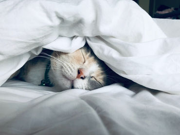 9 Reasons Why you Might be Struggling to Get a Good Nights Sleep