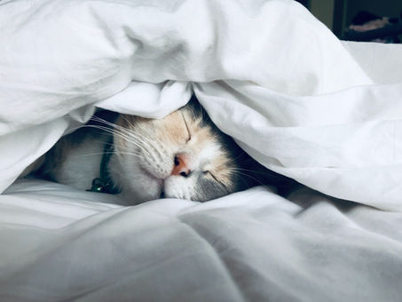 You Can Beat Jet Lag If You Follow This Simple Mantra When You Travel