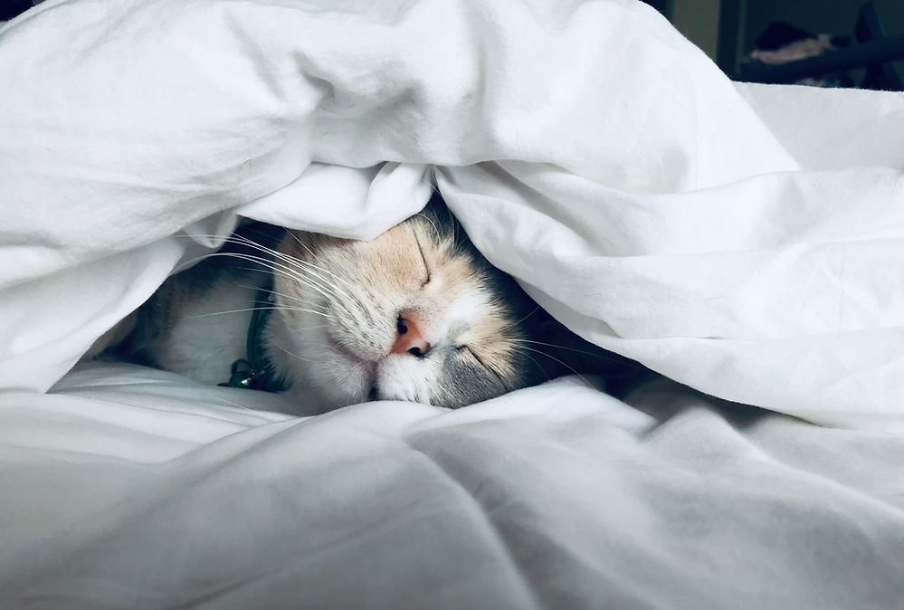 Sourcier de Bien-être - Sommeil difficile, maison à problème