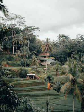 Deutschsprachiges Bali Yoga Retreat, Island of the Gods, 01. - 10. April 2025, Ohana Yoga Studio, Elisabeth Lorbeer