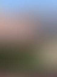 O primeiro boom passou: por que o mercado de energia solar agora exige conhecimento e gestão