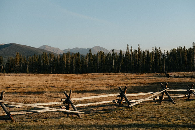 Image by Brandon Burridge