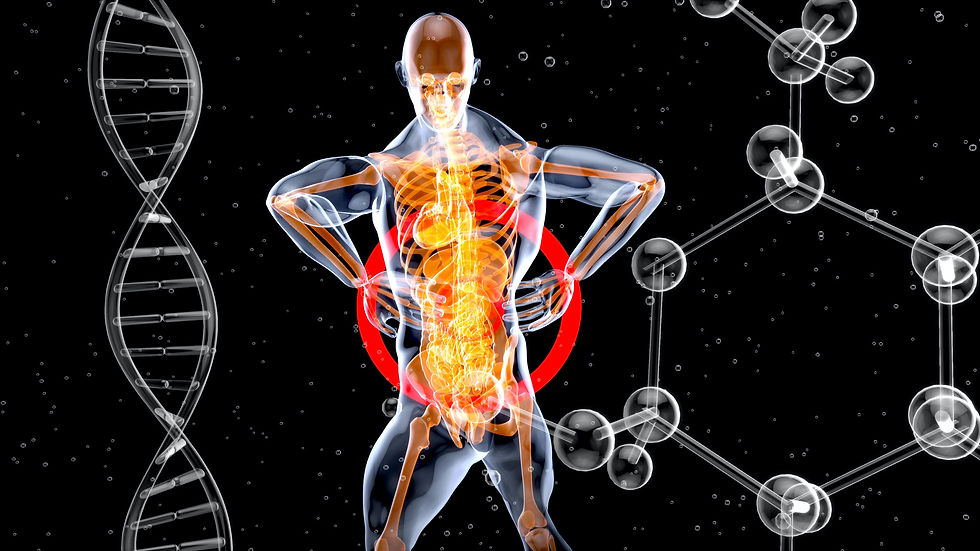 chiropractic adjustments