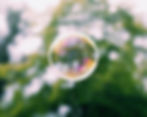 Bubble Zone