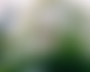 a bubble floating in the air