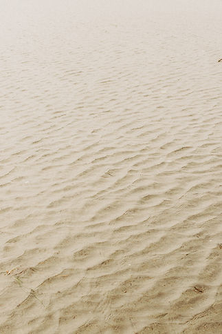 Image by Priscilla Du Preez